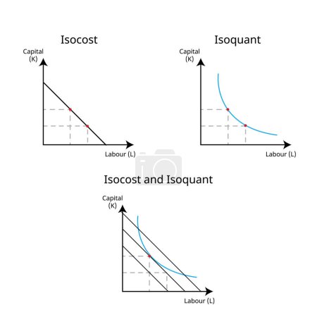 curva isoquant muestra toda la combinación de factores que producen una cierta producción y isocost mostrar todas las combinaciones de factores que cuestan la misma cantidad