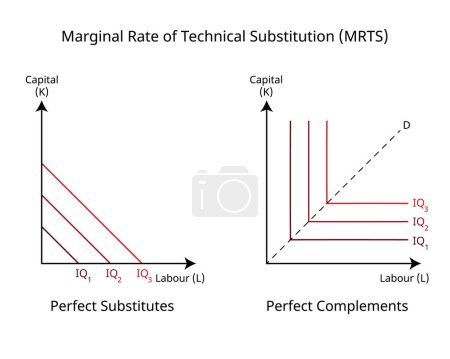 Tasa marginal de sustitución técnica o MRTS en economía para sustitutos imperfectos y complementos perfectos