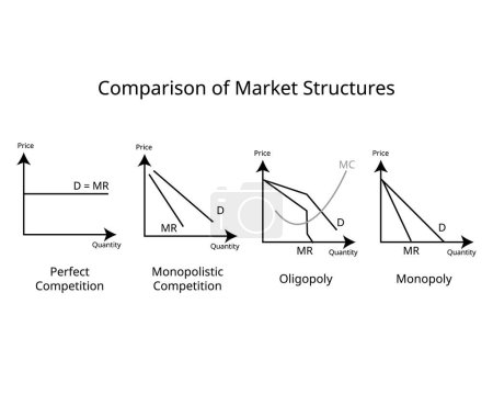 comparación de Estructuras de mercado de Competencia perfecta, Monopolio, Competencia monopolística, Oligopolio