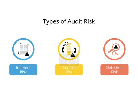 Type of audit risk for Inherent Risk, control risk, detection risk