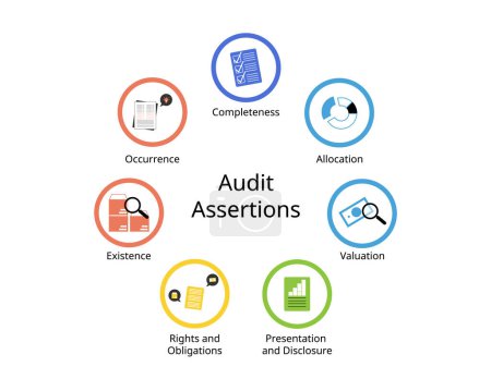 7 audit assertions for Completeness, Occurrence, Valuation, allocation, Rights and obligations, Existence