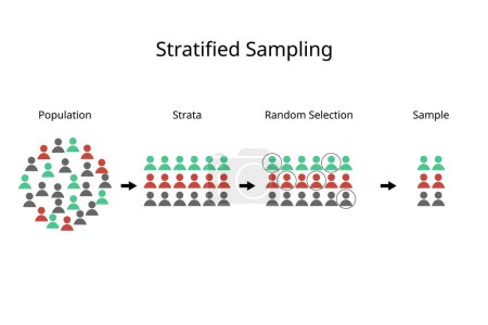 Stratified Sampling Methode zur Aufteilung einer Population in homogene Subpopulationen, sogenannte Schichten, basierend auf spezifischen Merkmalen
