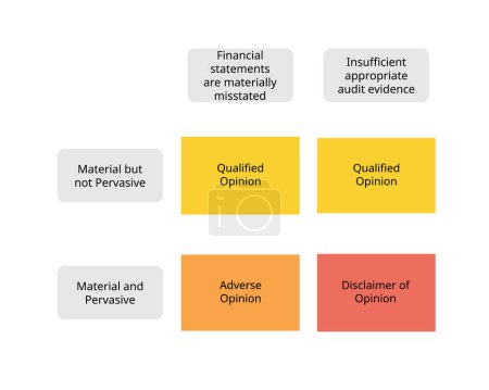 Audit opinions for qualified, adverse, disclaimer of opinion from material and not material document