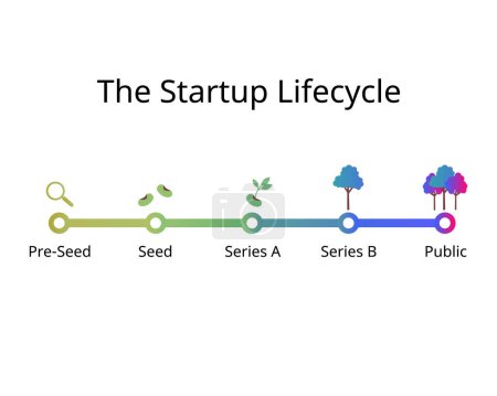el ciclo de vida de la puesta en marcha, desde las semillas hasta la siembra, series A, series B, mercado público