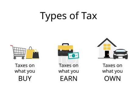 type of tax of what you buy, earn and own