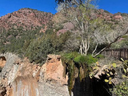 Foto de Vista primaveral del paisaje rocoso rojo de la montaña en el Parque Estatal Tonto Natural Bridge en Pine, Arizona, con espacio para copiar el cielo azul brillante en un área que muestra el puente de pie, el cactus y la pequeña cascada sobre el puente natural. - Imagen libre de derechos