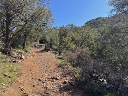 Foto de Vista de primavera de la ruta de senderismo Gowan en el Parque Estatal Tonto Natural Bridge en Pine, Arizona con espacio para copiar el cielo azul brillante en un área por encima del puente natural. - Imagen libre de derechos