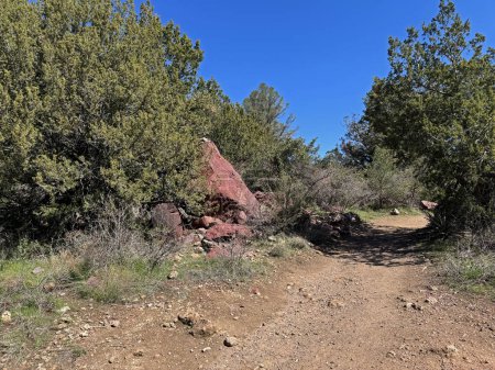 Springtime view of a large red rock beside the Gowan hiking trail in Tonto Natural Bridge State Park in Pine, Arizona with bright blue sky copy space in an area above the natural bridge.