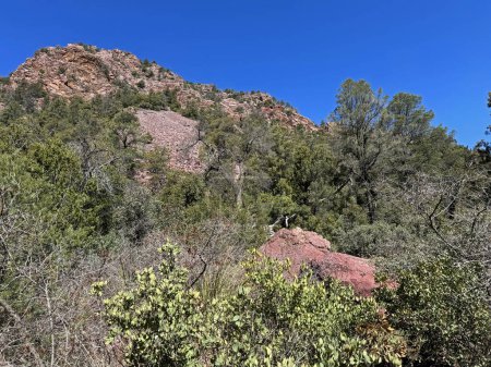 Foto de Vista de primavera desde el sendero de Gowan del paisaje rocoso rojo de la montaña en el Parque Estatal Tonto Natural Bridge en Pine, Arizona con espacio para copiar el cielo azul brillante en un área por encima del puente. - Imagen libre de derechos