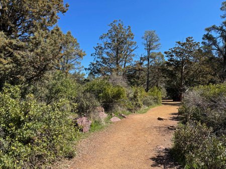 Springtime view of the Peaceful Gowan hiking trail in Tonto Natural Bridge State Park in Pine, Arizona with bright blue sky copy space in an area above the natural bridge.
