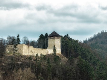 Téléchargez les photos : Ruines restaurées d'un château médiéval du 14ème siècle à Muszyna sur la rivière Poprad - en image libre de droit