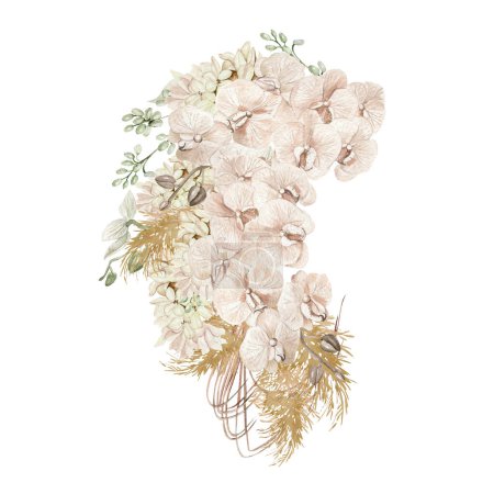 Téléchargez les photos : Bouquet aquarelle avec des fleurs et des feuilles séchées boho. Illustration - en image libre de droit