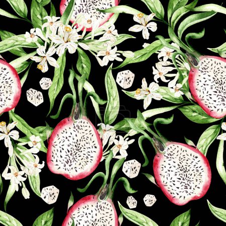 Foto de Fragón de frutas y hojas patrones sin costura sobre un fondo negro, ilustración de acuarela, dibujo a mano - Imagen libre de derechos