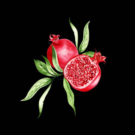 Téléchargez les photos : Watercolor pomegranate  fruits on black background. Illustration - en image libre de droit