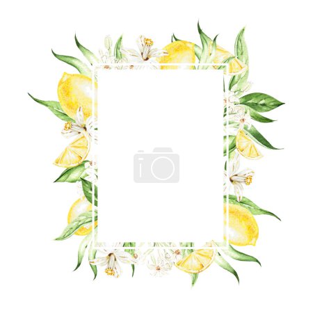 Foto de Frutas tropicales de limón y hojas, flores, tarjeta sobre fondo blanco, ilustración de acuarela, dibujo a mano - Imagen libre de derechos