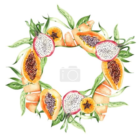 Téléchargez les photos : Papaya fruit, dragon fruit  and leaves  wreath on white background, watercolor illustration, hand drawing - en image libre de droit