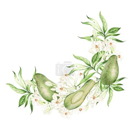 Téléchargez les photos : Avocado fruit and tropical leaves, wreath on white background, watercolor illustration, hand drawing - en image libre de droit