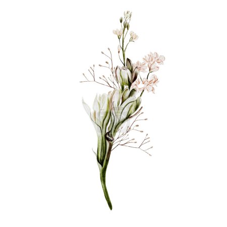 Téléchargez les photos : Bouquet aquarelle avec des fleurs sauvages et des hebs. Illustration - en image libre de droit
