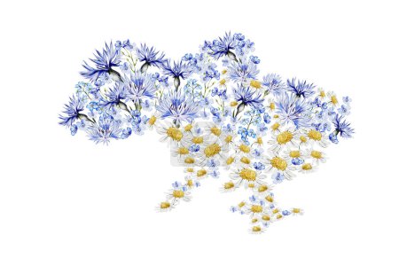 Foto de Acuarela dibujo mapa de Ucrania decorado con flores azules y amarillas. Ilustración - Imagen libre de derechos