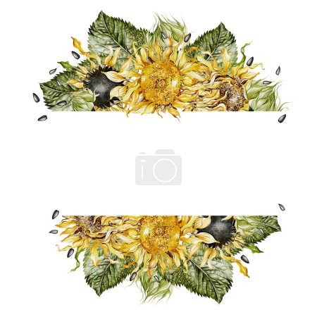 Photo for Watercolor card with sunflowers and leaves. Illustration - Royalty Free Image