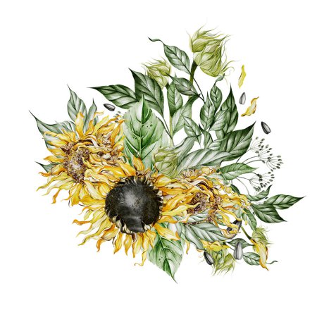 Téléchargez les photos : Bouquets aquarelle avec tournesols et feuilles. Illustration - en image libre de droit