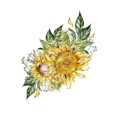 Téléchargez les photos : Bouquets aquarelle avec tournesols et feuilles. Illustration - en image libre de droit