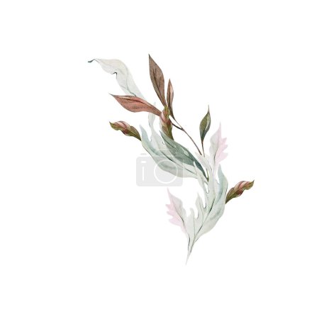 Photo for Wedding watercolor branch with leaves. Illustration - Royalty Free Image