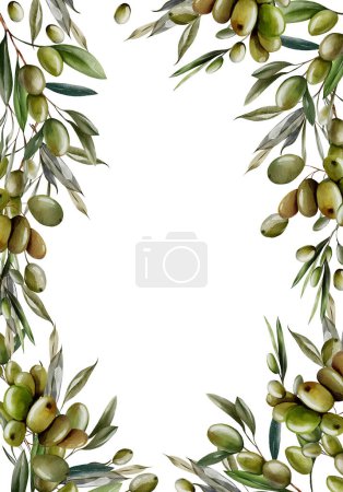 Téléchargez les photos : Cadre aquarelle avec baies d'olive et feuilles vertes. Illustration - en image libre de droit