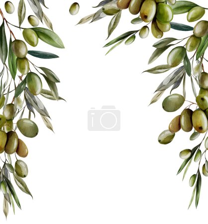 Foto de Marco de acuarela con bayas de oliva y hojas verdes. Ilustración - Imagen libre de derechos
