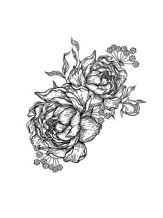 Illustration for Graphic bouquet with peony and leaves. Illustration - Royalty Free Image