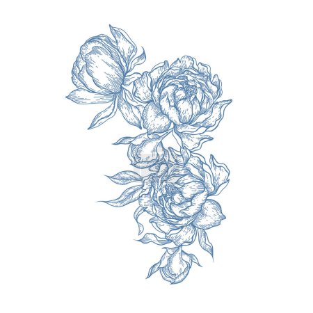 Illustration for Graphic bouquet with peony and leaves. Illustration - Royalty Free Image