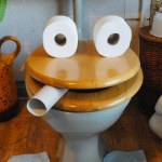 Humorous face created from a wooden toilet seat and bath tissue rolls in the bathroom