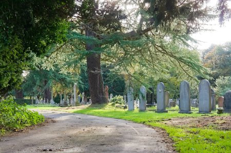 ein gewundener Pfad durch einen alten Friedhof mit Sonne, die durch Bäume scheint. 