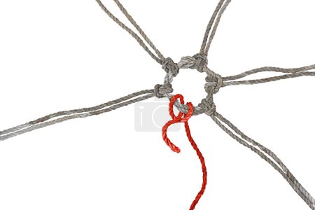 Foto de Las cuerdas rústicas se unen en un anillo anudado, uno de ellos en rojo tiene un cabo suelto, concepto entre cohesión, individualismo y burnout, aislado sobre un fondo blanco, espacio de copia - Imagen libre de derechos