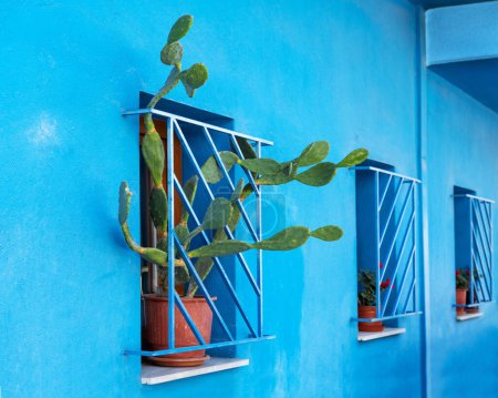 Téléchargez les photos : Poire piquante verte en pot (Opuntia) poussant à travers une grille de fenêtre sur une façade bleue d'une maison de ville traditionnelle à Thessalonique, Grèce, espace de copie, foyer sélectionné - en image libre de droit