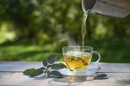 Photo for Pouring hot water in a glass cup with sage leaves, healthy herbal tea and home remedy for coughs, sore throat and digestive problems, dark green background, copy space, selected focus - Royalty Free Image