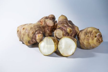 Jerusalem artichoke or topinambur (Helianthus tuberosus), species of sunflower used as root vegetable, rich in inulin and therefor recommended for diabetes, gray background, copy space, selected focus