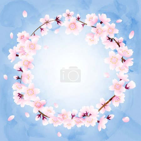 Round frame of cherry blossom and falling petal on blue sky background
