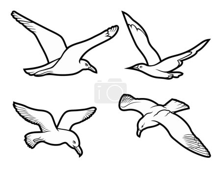 Téléchargez les illustrations : Cartoon mignon doodle Seagulls ensemble. Illustration drôle vectorielle sketchy. Isolé sur fond blanc. - en licence libre de droit