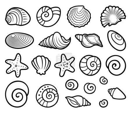 Cartoon set of cute doodle shells. Summer beach vector funny illustration