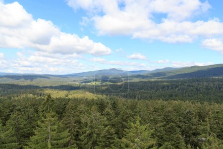Photo for Mountain and tree panorama view seen from Treetop Walk Bavarian Forest in Bavarian Forest National Park, Germany - Royalty Free Image