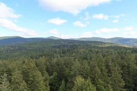 Photo for Mountain and tree panorama view with summit Lusen seen from Treetop Walk Bavarian Forest in Bavarian Forest National Park, Germany - Royalty Free Image