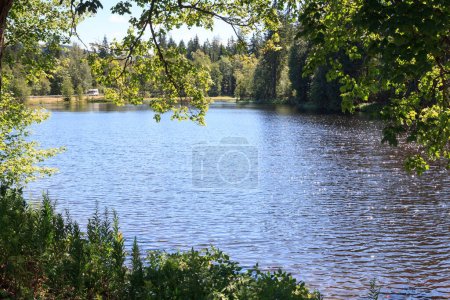 Panorama view of lake Karchesweiher surrounded by trees in Fichtel Mountains, Germany