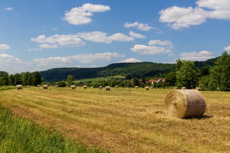 Escena rural con fardos de heno redondos y panorama de colinas cerca del pueblo de Wannbach en la Suiza francófona, Alemania