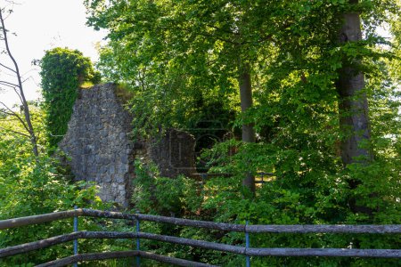 Ruins of Leienfels Castle and trees near Pottenstein (Franconian Switzerland), Germany