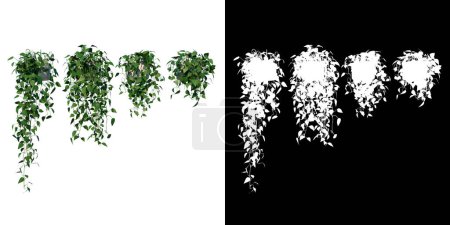 Widok z przodu rośliny wiszące pełzacze Rośliny 1 Drzewo białe tło 3D Rendering Ilustracion 3D