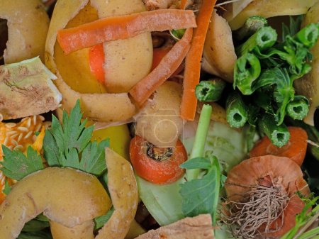 Foto de Residuos orgánicos, residuos de cocina para compostaje - Imagen libre de derechos