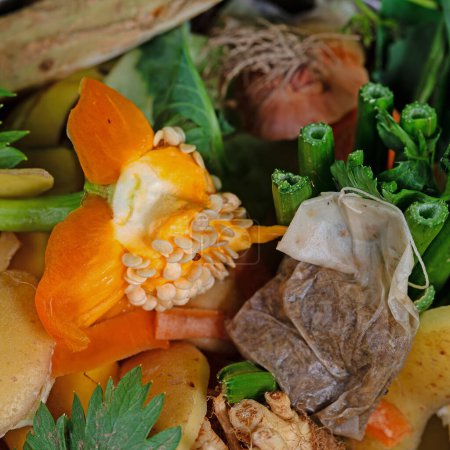 Foto de Residuos orgánicos, residuos de cocina para compostaje - Imagen libre de derechos