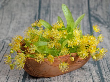 Linden blossoms in a wooden bowl