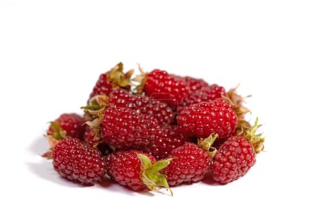 Tayberries against a white background
